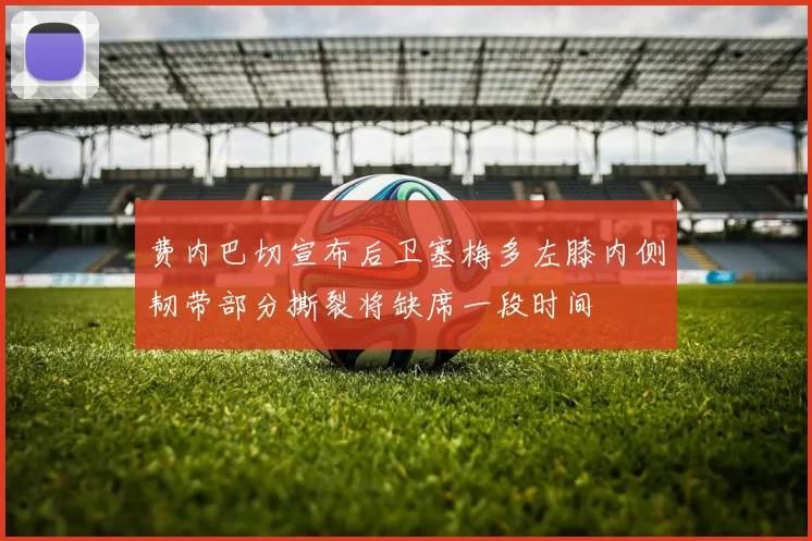 费内巴切宣布后卫塞梅多左膝内侧韧带部分撕裂将缺席一段时间