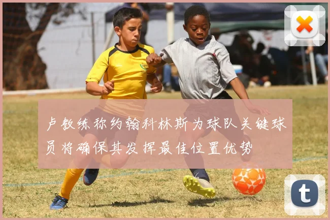 卢教练称约翰科林斯为球队关键球员将确保其发挥最佳位置优势
