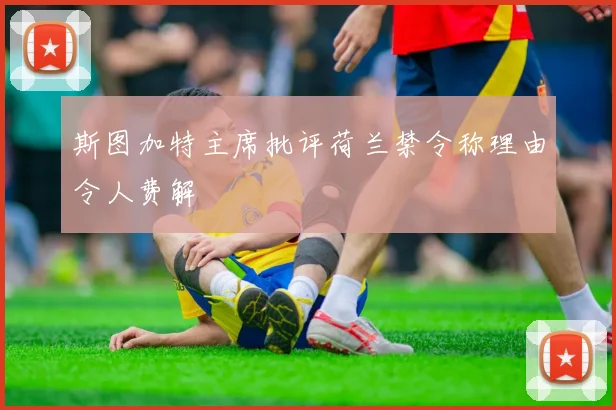 斯图加特主席批评荷兰禁令称理由令人费解