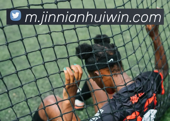 金年会平台生态图